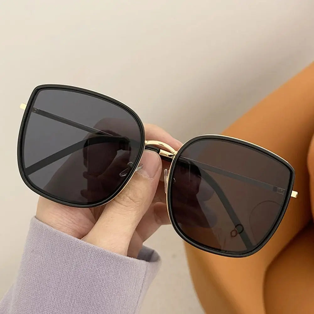 Eden Glasses