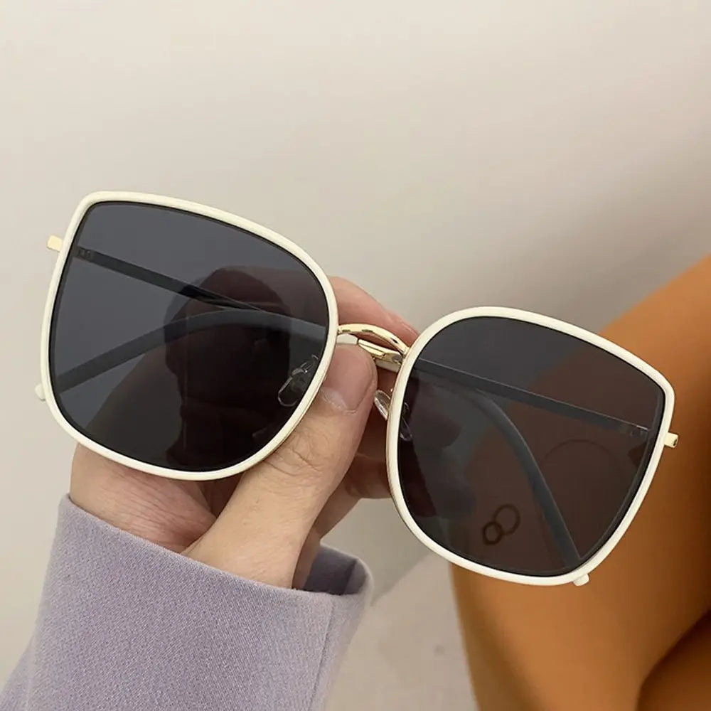 Eden Glasses