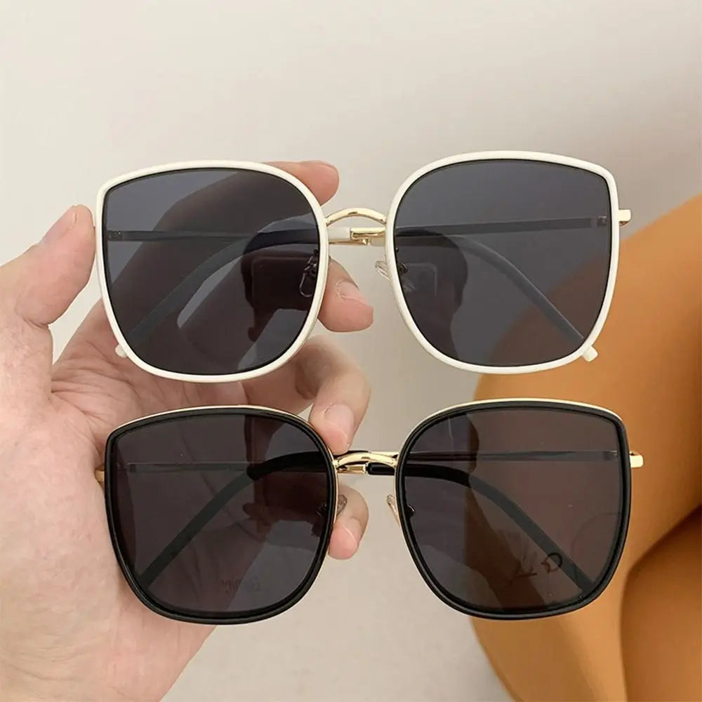 Eden Glasses